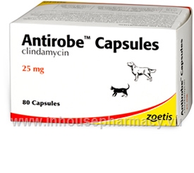 Antirobe Capsules (Clindamycin) 25mg 80 Capsules/Pack
