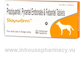Slayworm 10 Tablets/Pack
