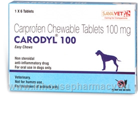 carprofen 100mg tablets for dogs