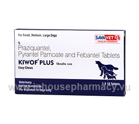Kiwof Plus 10 Chewable Tablets/Pack