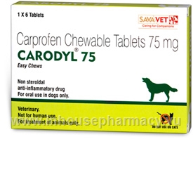 Carodyl (Carprofen 75mg) 6 Tablets/Pack