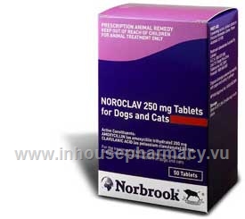 Noroclav 250mg 50 Tablets/Pack