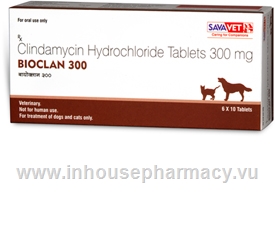 Bioclan (Clindamycin 300mg) 60 Chewable Tablets/Pack