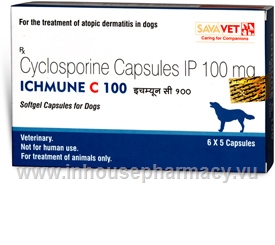 oral cyclosporine for dogs