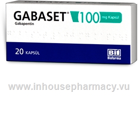 Gabaset (Gabapentin 100mg) 20 Capsules/Pack (Turkish)