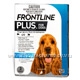 Frontline Plus Dog Medium